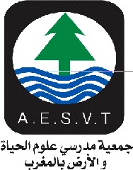 Logo AESVT Nador