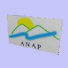 ANAP Logo