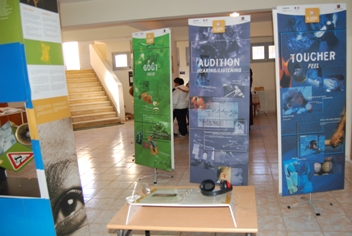 Expo-6 sens pour la vie