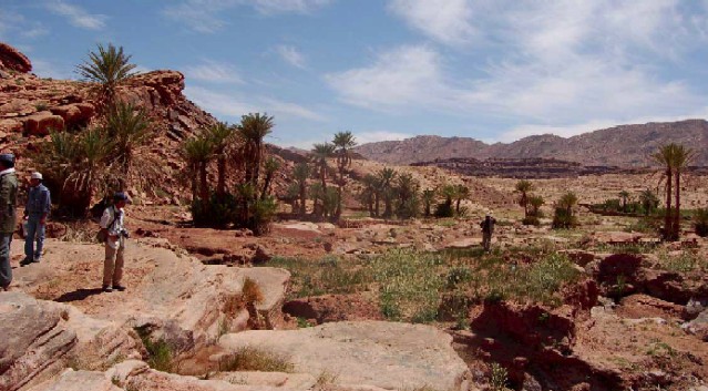 Travers�e de l'Oriental 2007