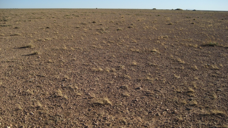 Ain Beni Mathar- Jnan