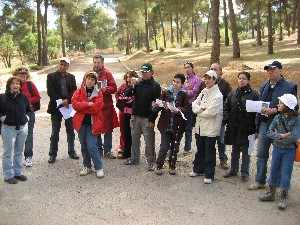 Tafoughalt: arret 1a