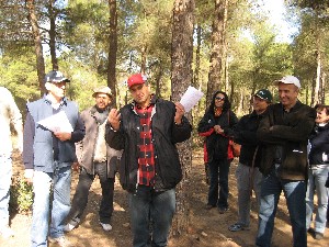 Plantes m&eacute;dicinales 2