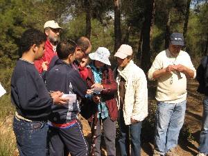 Plantes m&eacute;dicinales 3