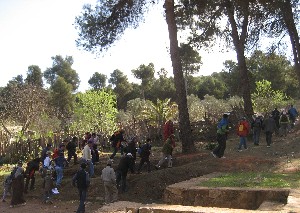 Rando_Tafoughalt du 11 mars 07_00