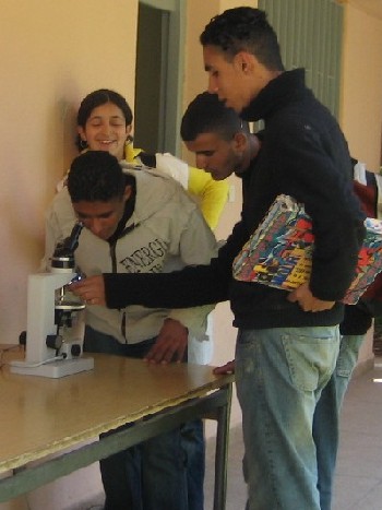 Oued eddahab : P&eacute;trographie