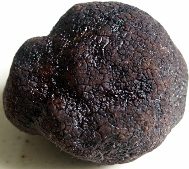 Truffe noire