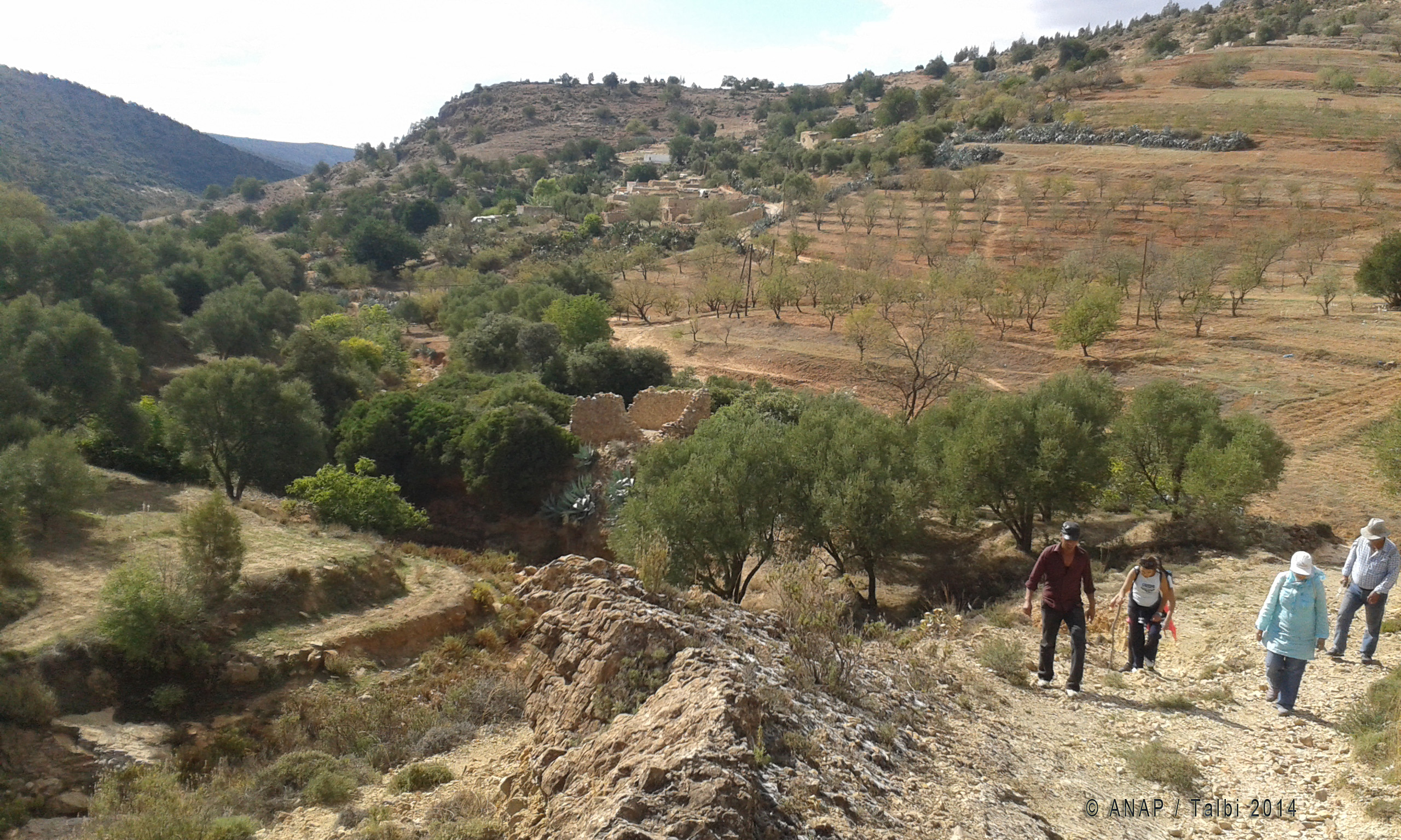 Apr�s la Grande Pause