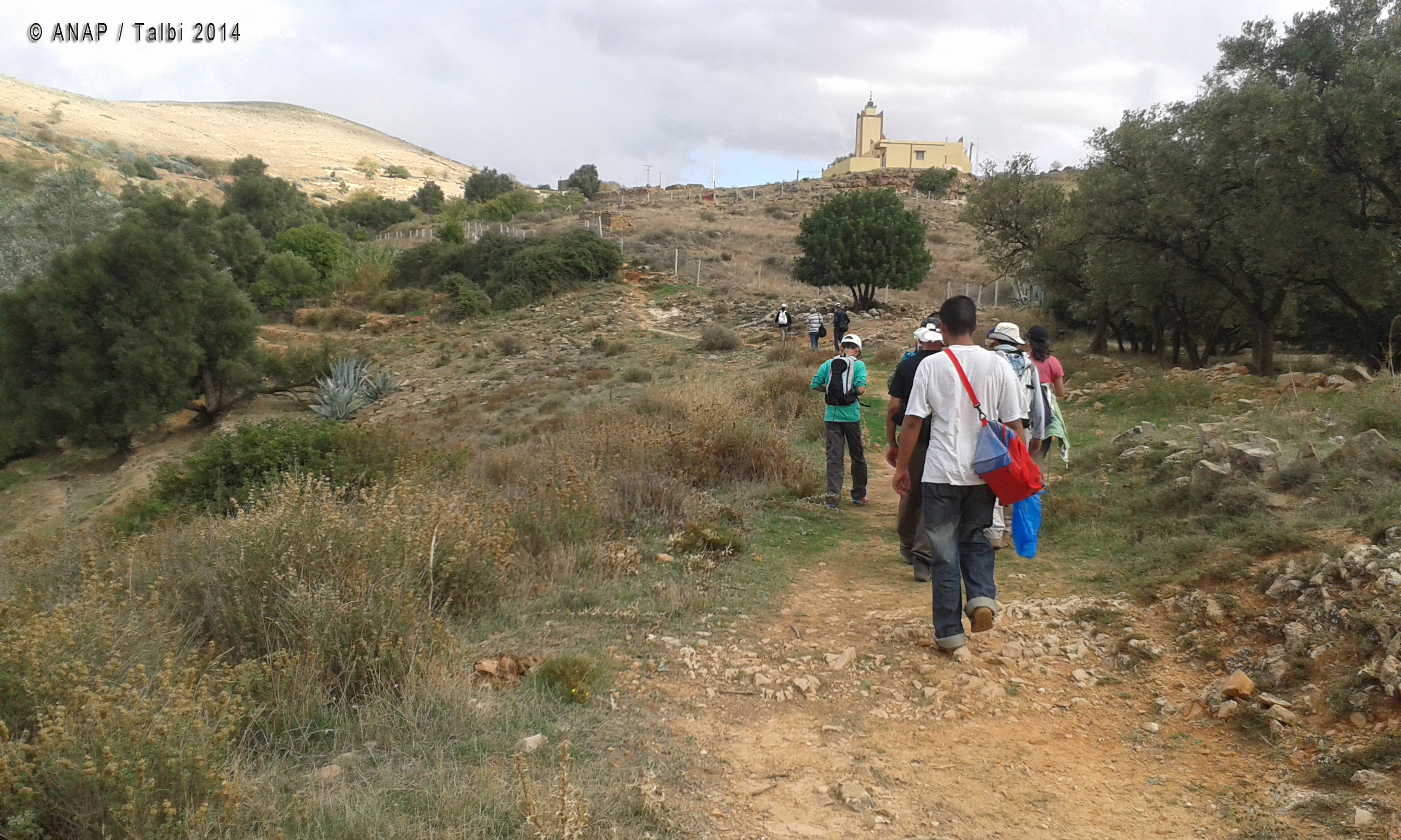 Chemin vers la mosqu�e