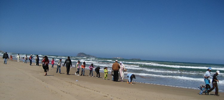 Exploration de la vie du rivage