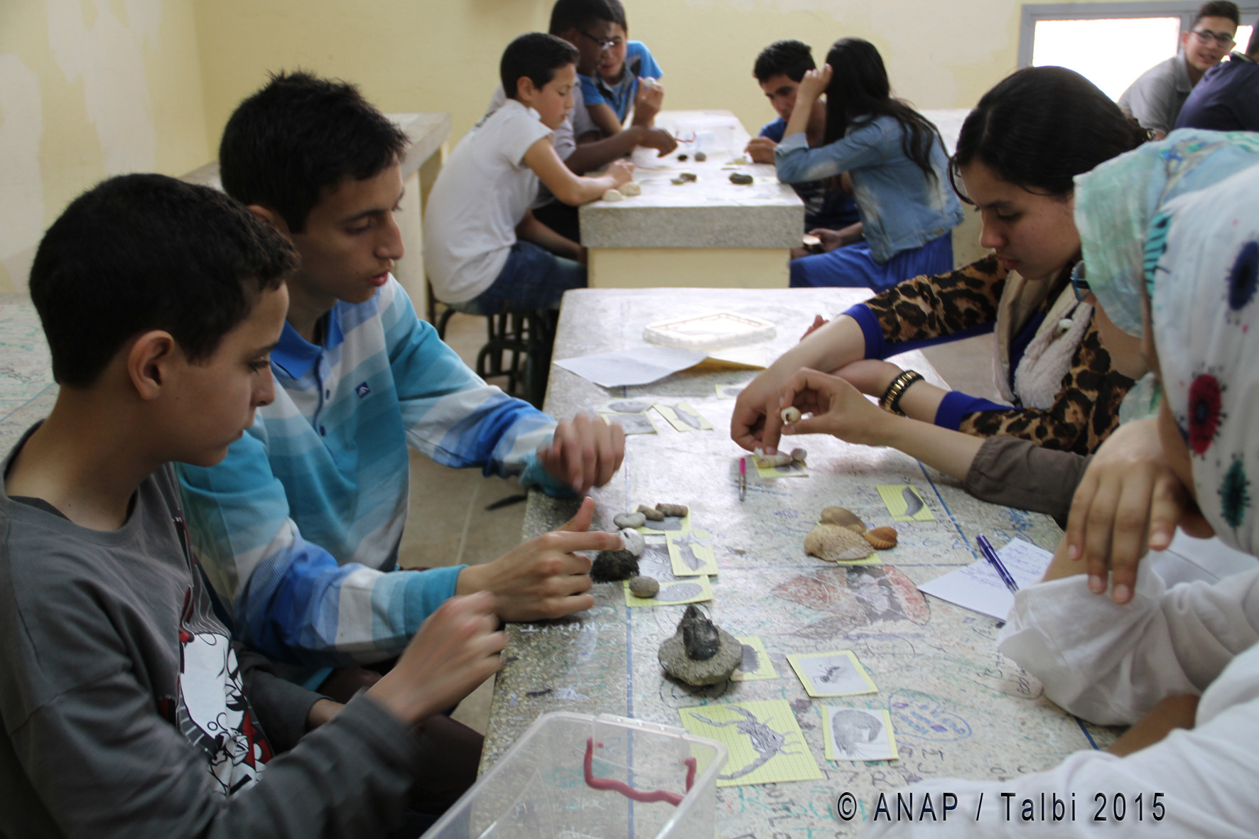 Atelier de classification 2