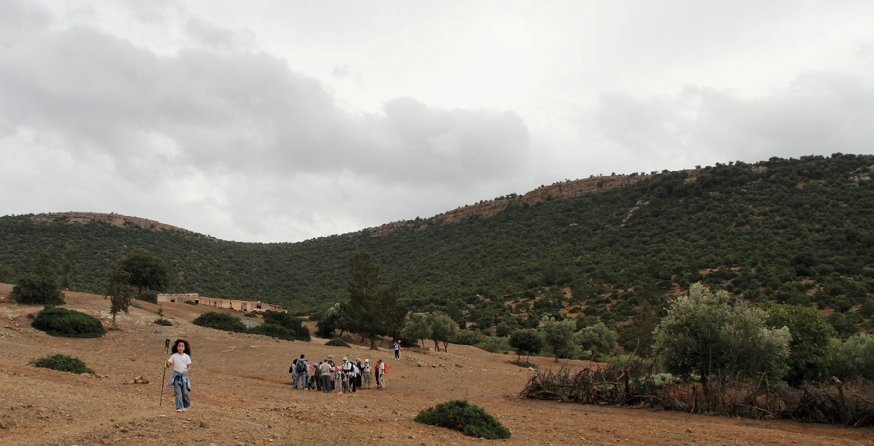 Ouazene 26 septembre 2010 - en plaine