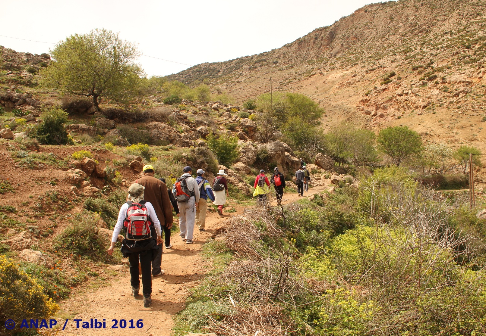 Paysages de Tinissane