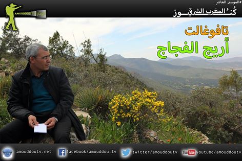 Pub Amouddou 24 et 25 juin 2017