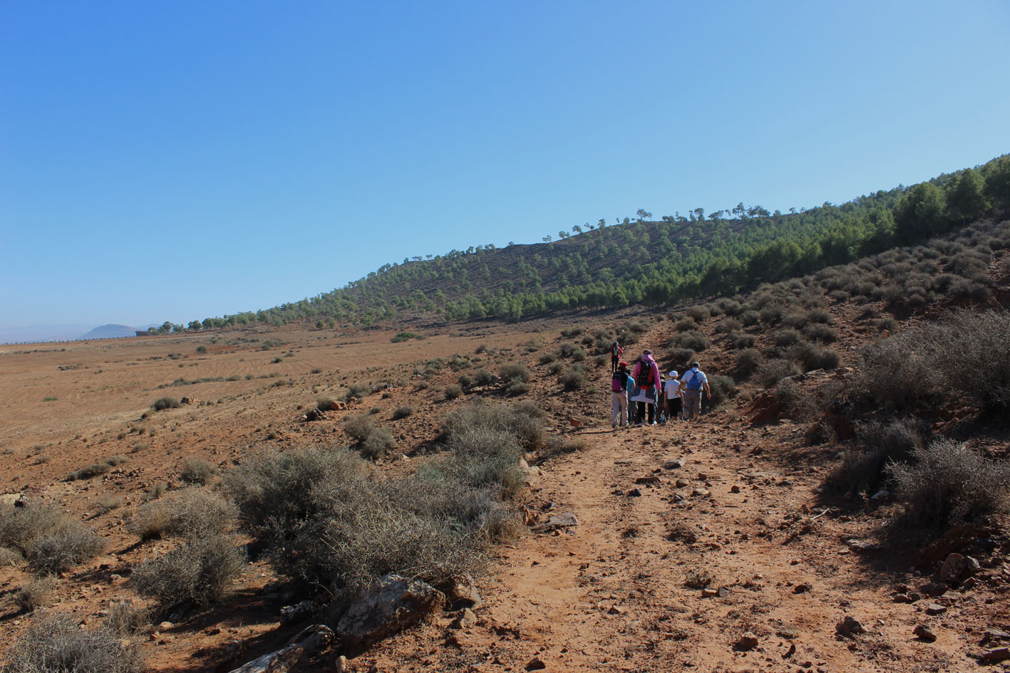 Marche vers la for�t