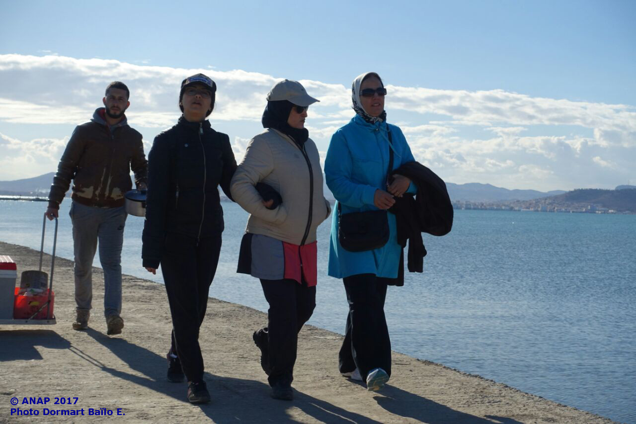 Marche � la marina