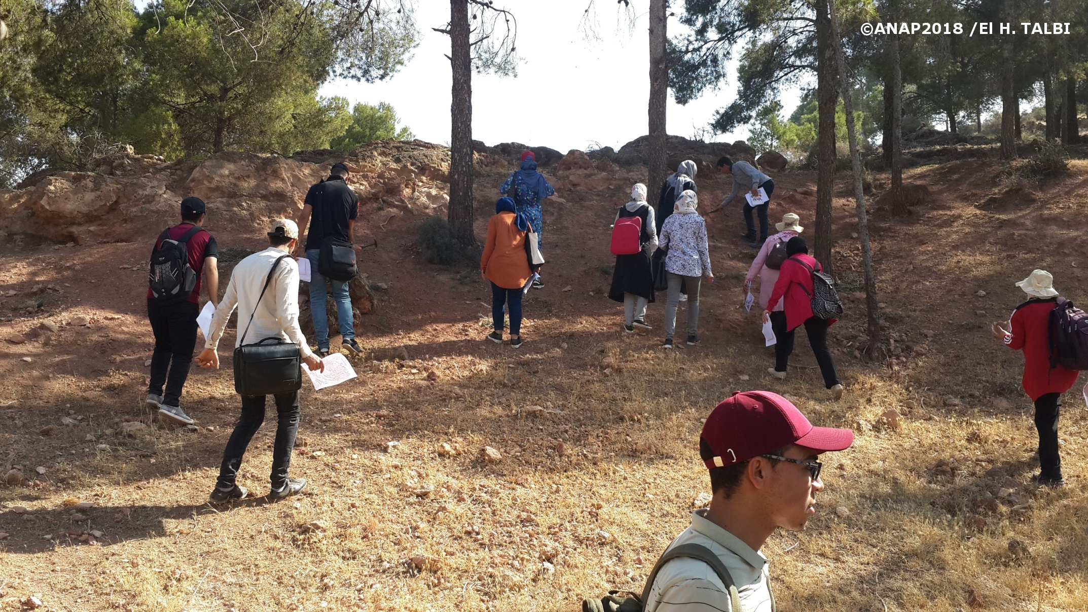 D�couverte du site