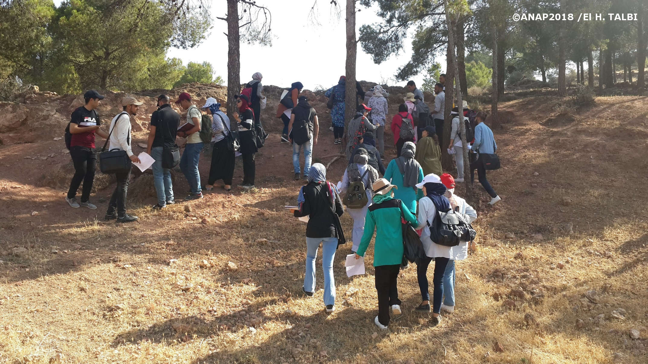 D�couverte du site