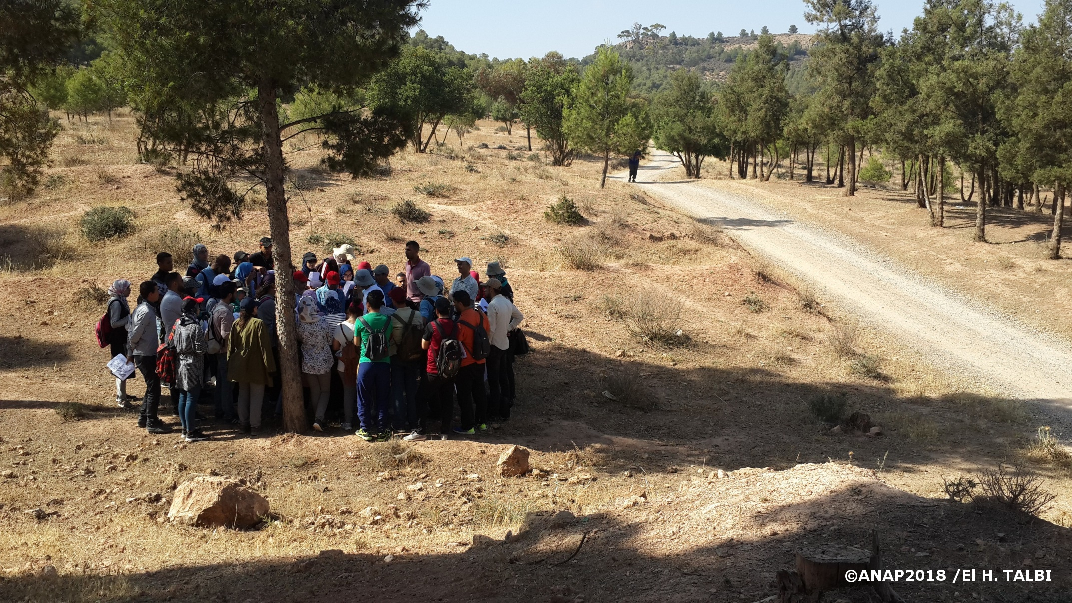 Explications station d'arr�t