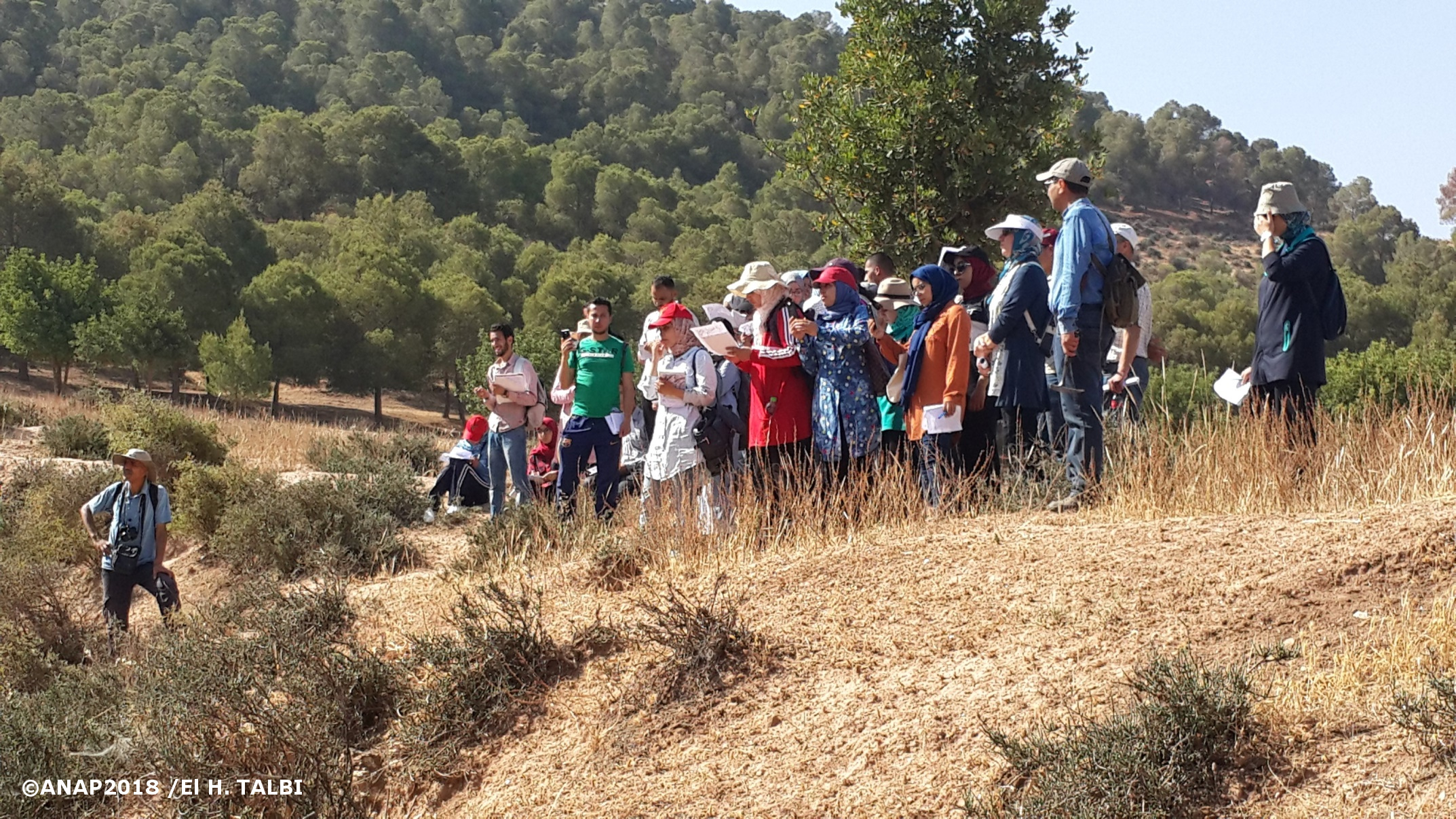 Explications station d'arr�t