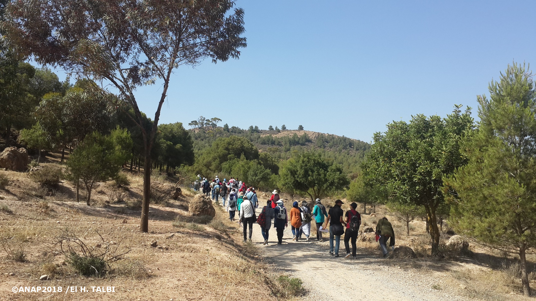 Changement d'affleurement