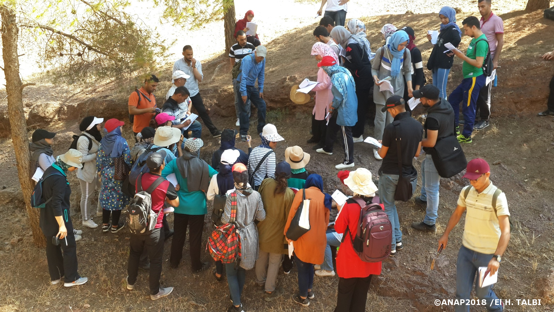 Arr�t pour explications