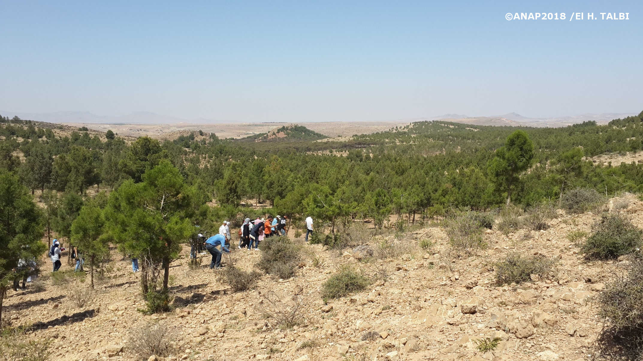 Partie sup de la s�rie