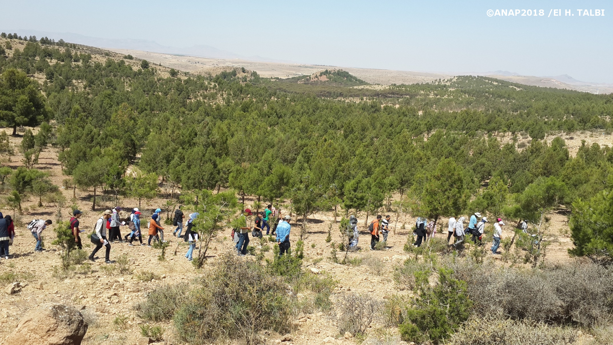 Partie sup de la s�rie