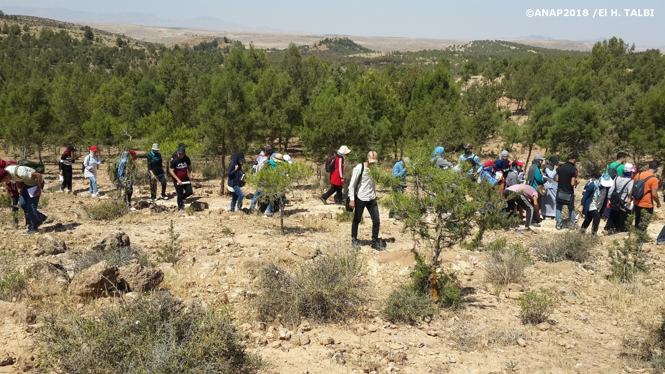 Alternances Carbonates / Marnes