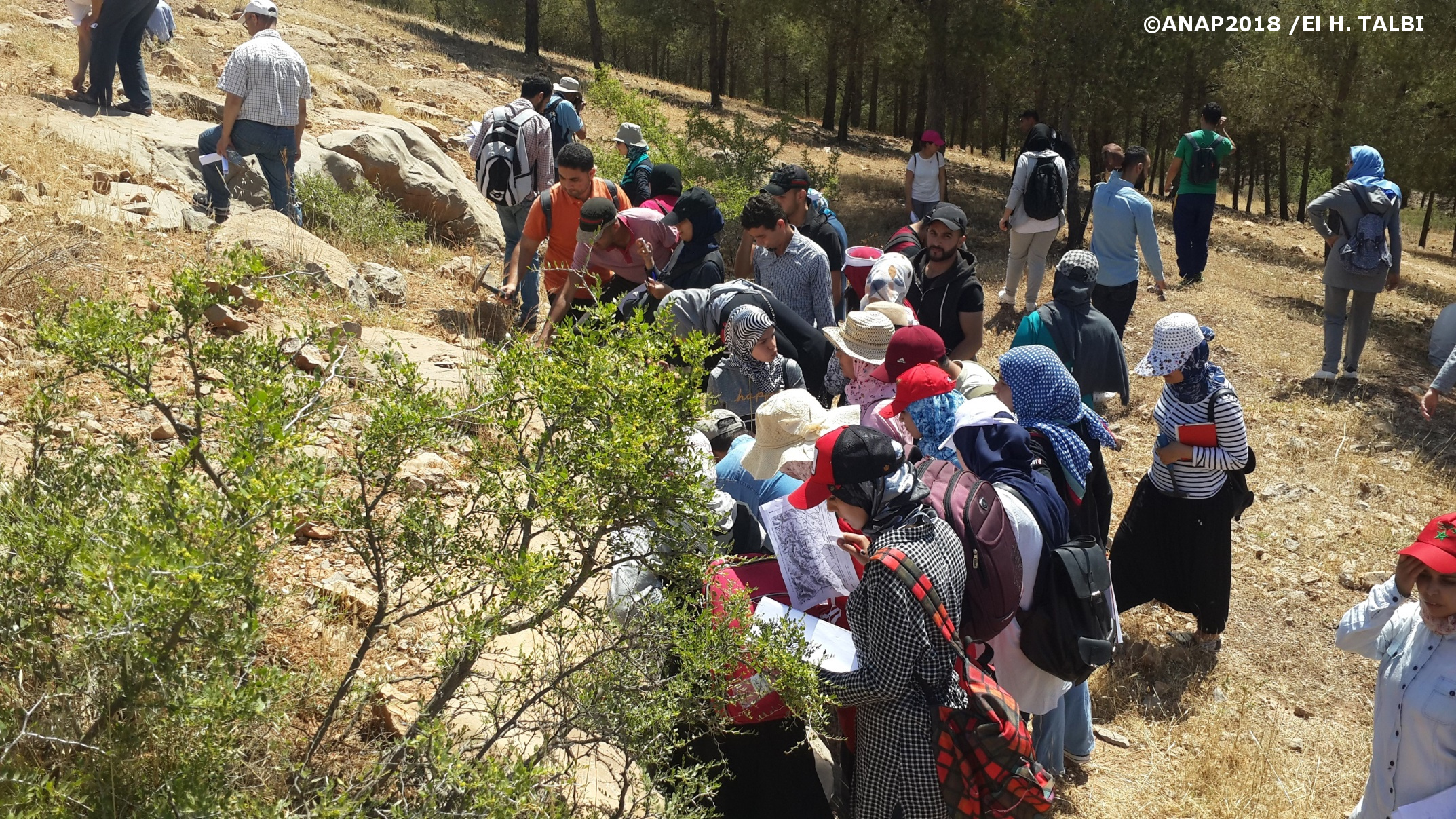 Voir les d�tails de plus pr�s