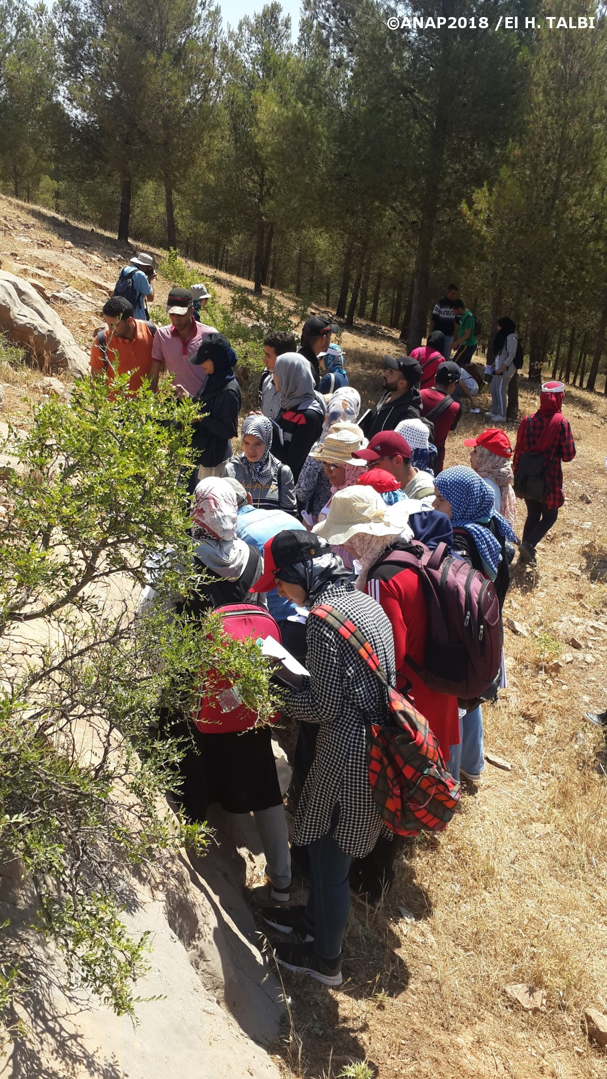 Figures s�dimentaires dans les carbonates