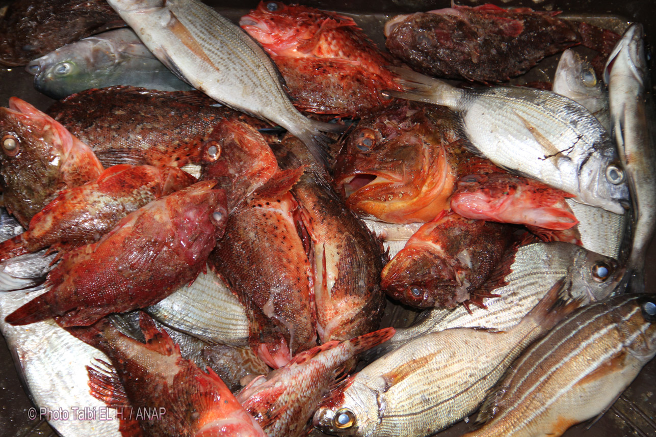 La r�colte est bonne