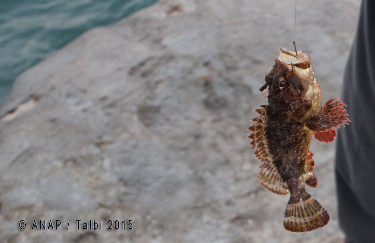 Partie de p�che : Bingo