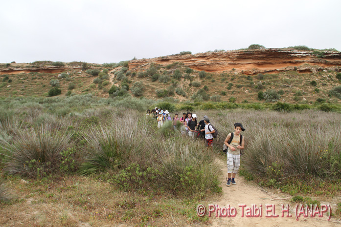 SIBE Moulouya _ Cap de l'Eau