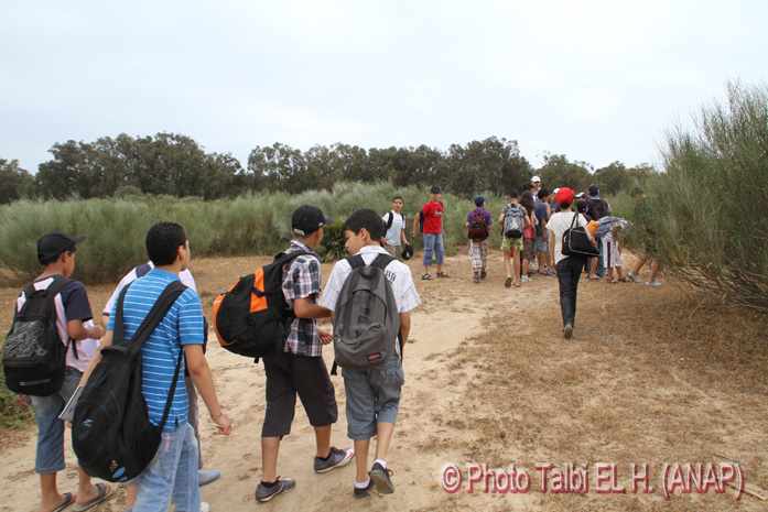 D�but des dunes de sable