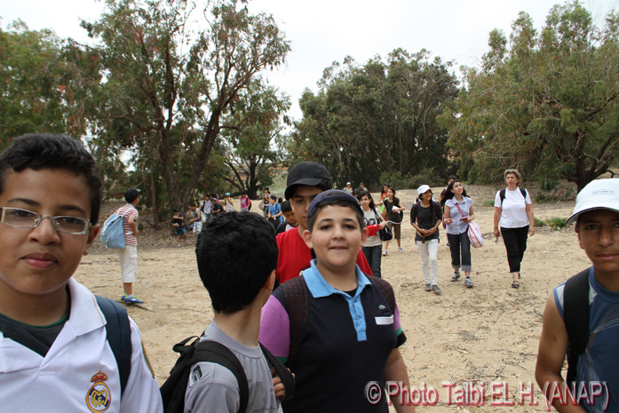 Au sein de l'Eucalyptus