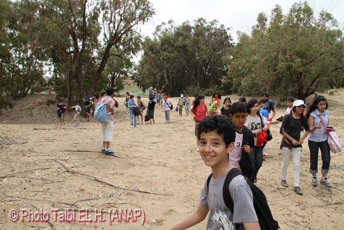 Au sein de l'Eucalyptus