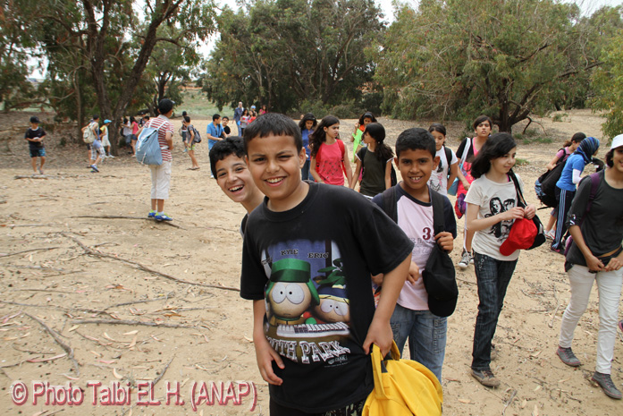 Au sein de l'Eucalyptus