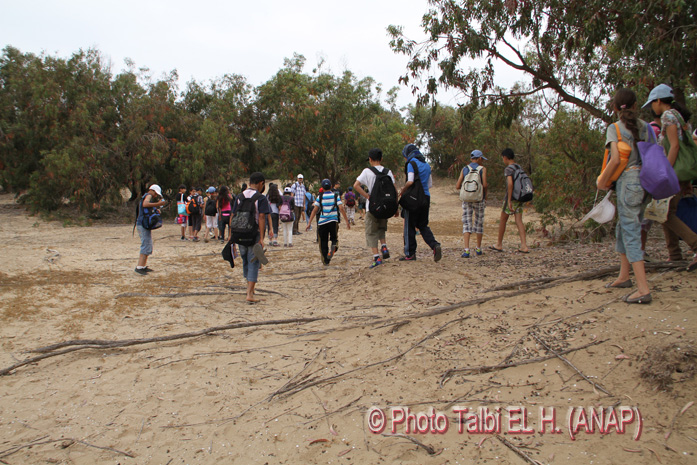 La visite continue : vers la mer