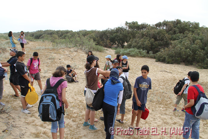 Sortie de l'Eucalyptus