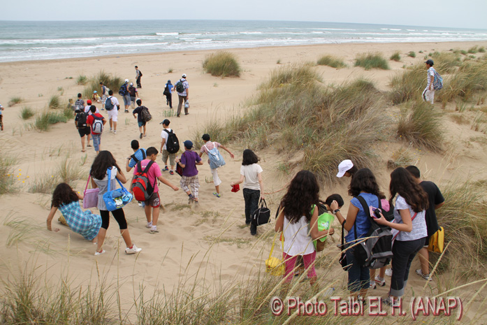 Fin de la coupe, la plage