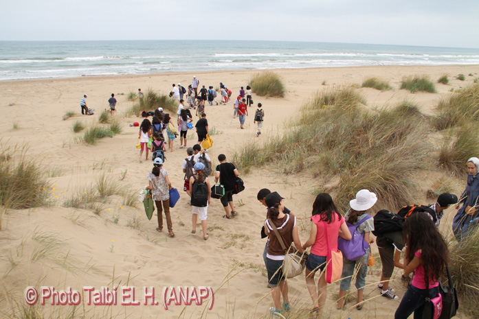 Fin de la coupe, la plage 3