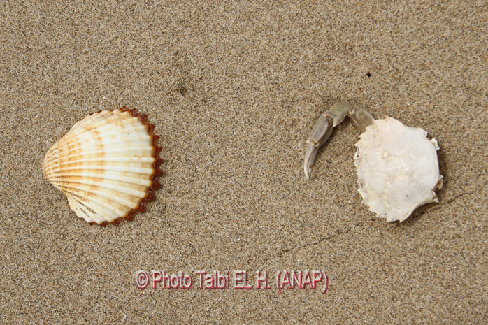 Collection � faire