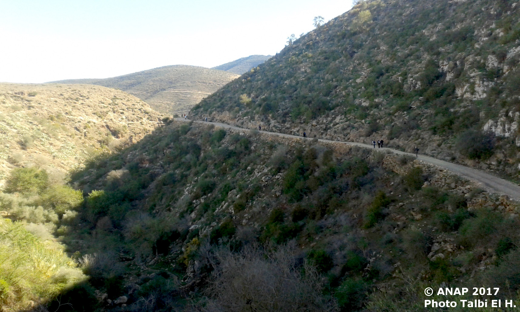 La piste qui m�ne � Douar Mahjouba