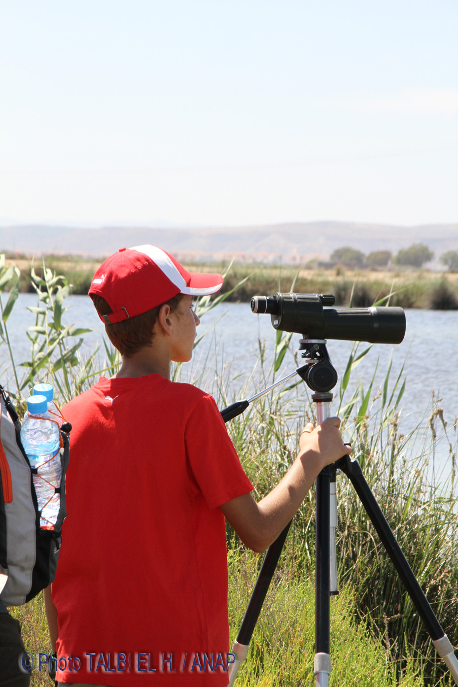 Observations des oiseaux