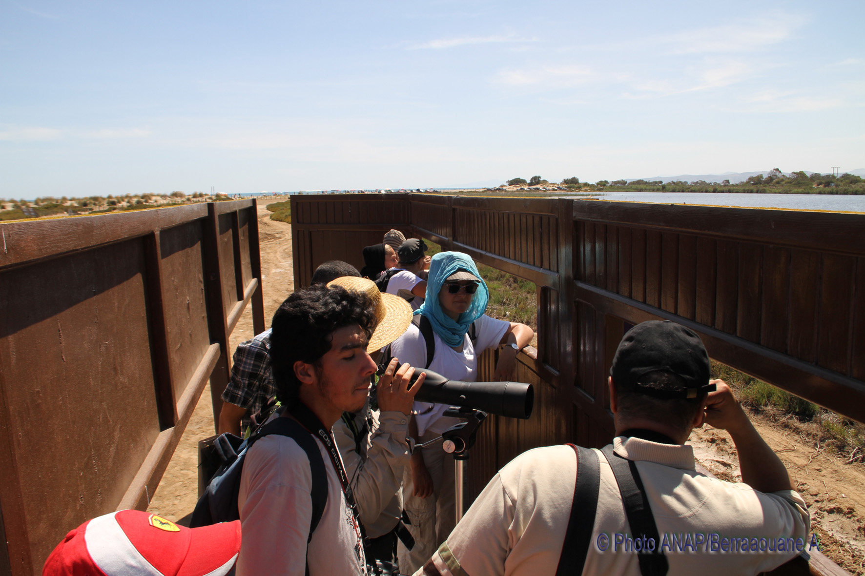 Observation des oiseaux