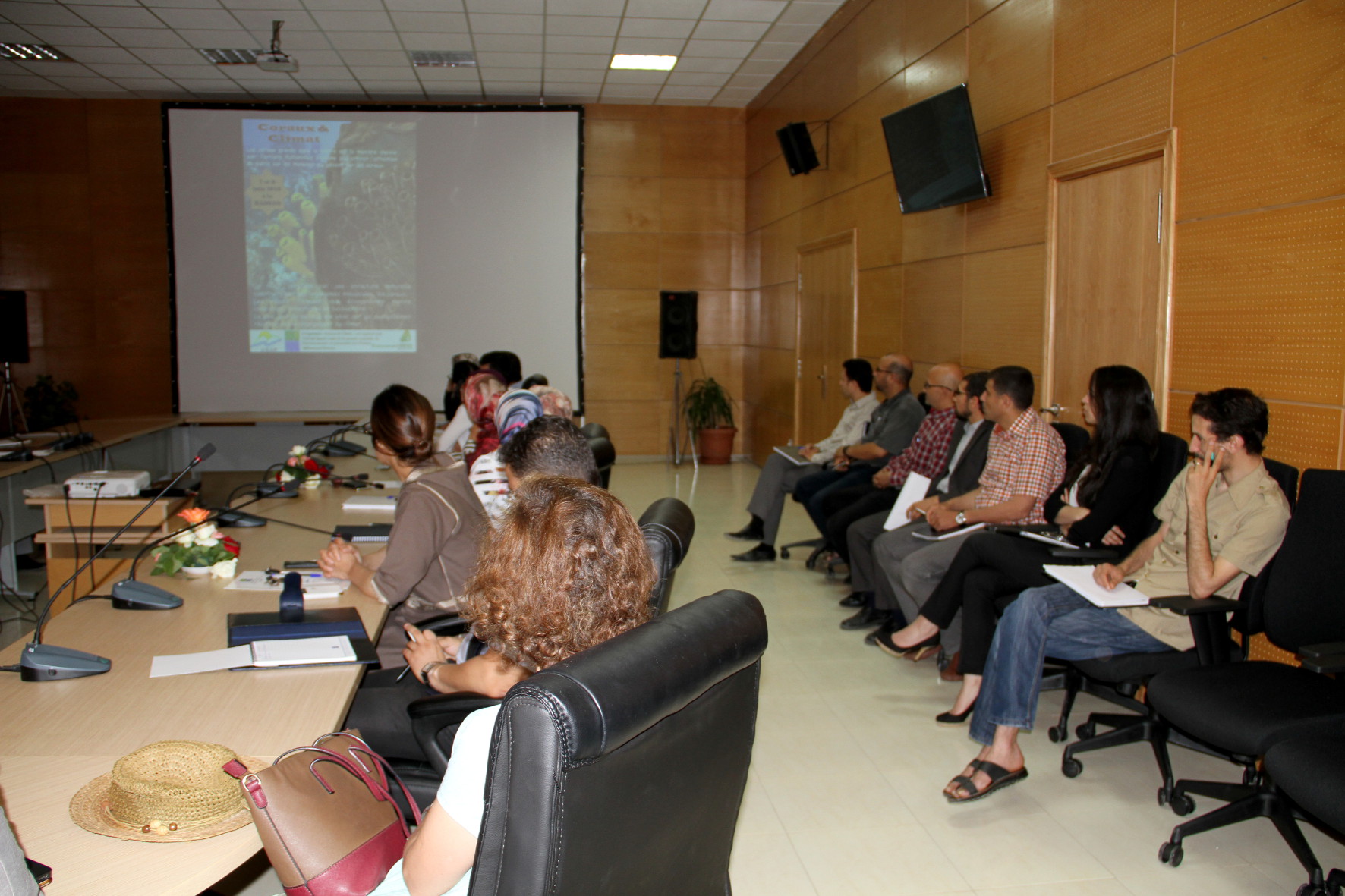 Suite du Programme 1