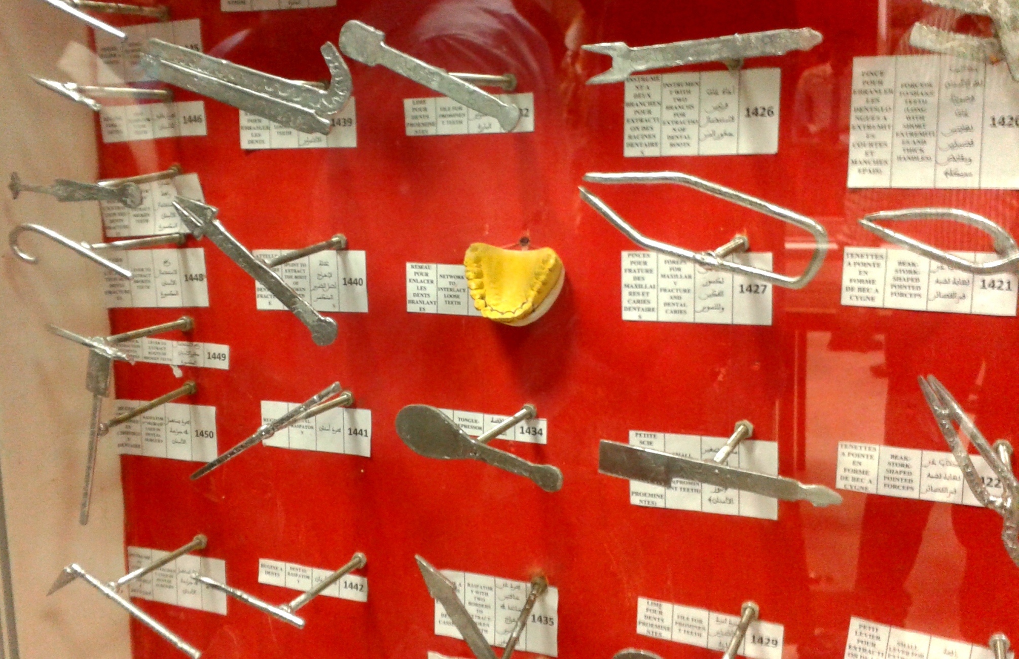 Exposition sur les d�couvertes des musulmants en m�decine : mat�riel