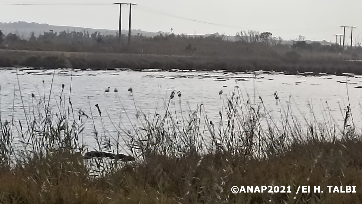 Situation en octobre