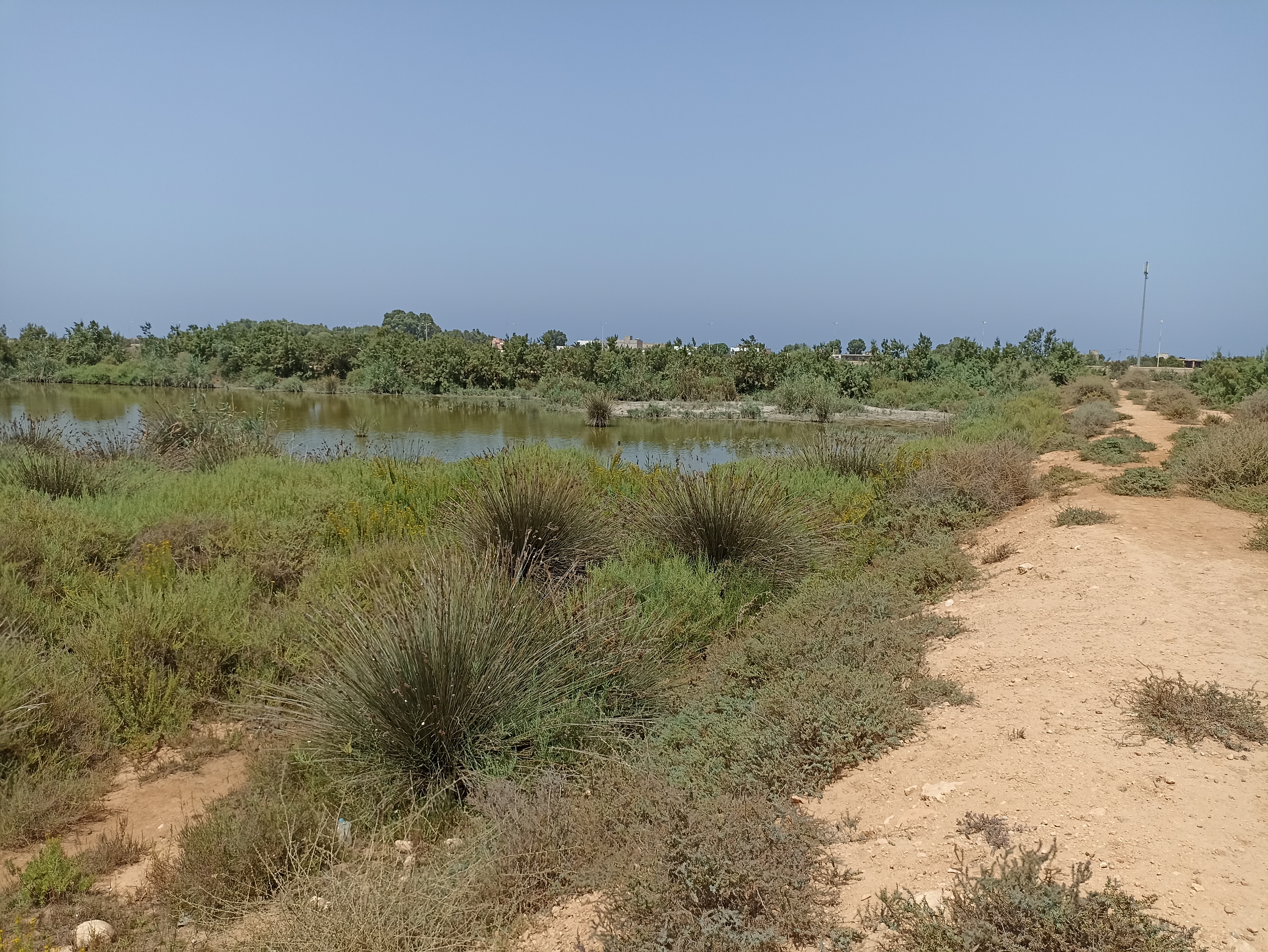 Diminution du niveau d'eau en amont